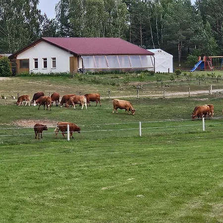 Piotrogrod Kaszuby * Lipnica (Bytow)