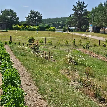 Piotrogrod Kaszuby Apartamento *