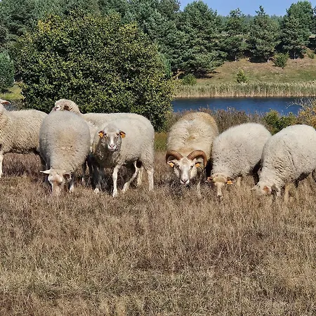Piotrogrod Kaszuby Lipnica (Bytow)
