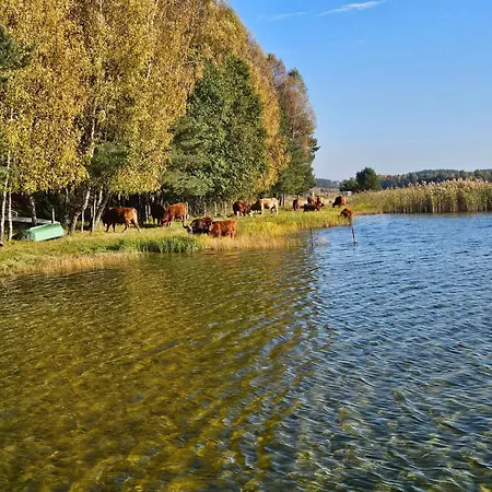 Piotrogród Kaszuby * Lipnica (Bytow)