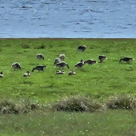 Piotrogrod Kaszuby Appartement *