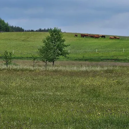 Gospodarstwo agroturystyczne Piotrogród Kaszuby