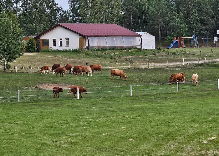 Piotrogrod Kaszuby * Lipnica (Bytow)