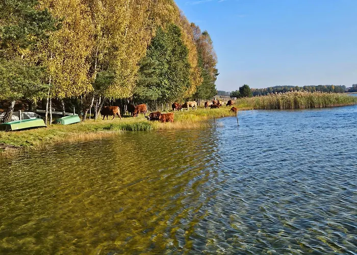 Piotrogrod Kaszuby * Lipnica (Bytow)