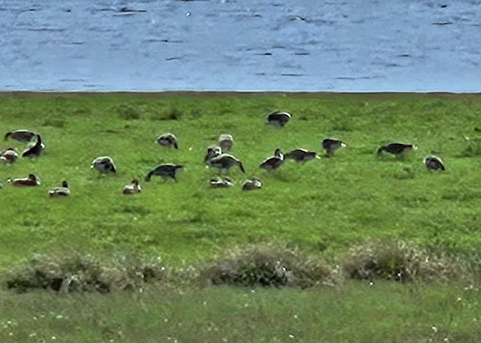 Piotrogrod Kaszuby דירה *