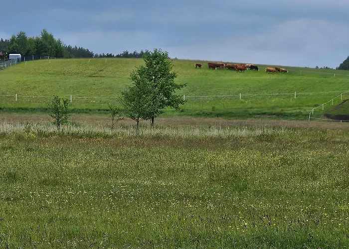 Apartmán Piotrogrod Kaszuby